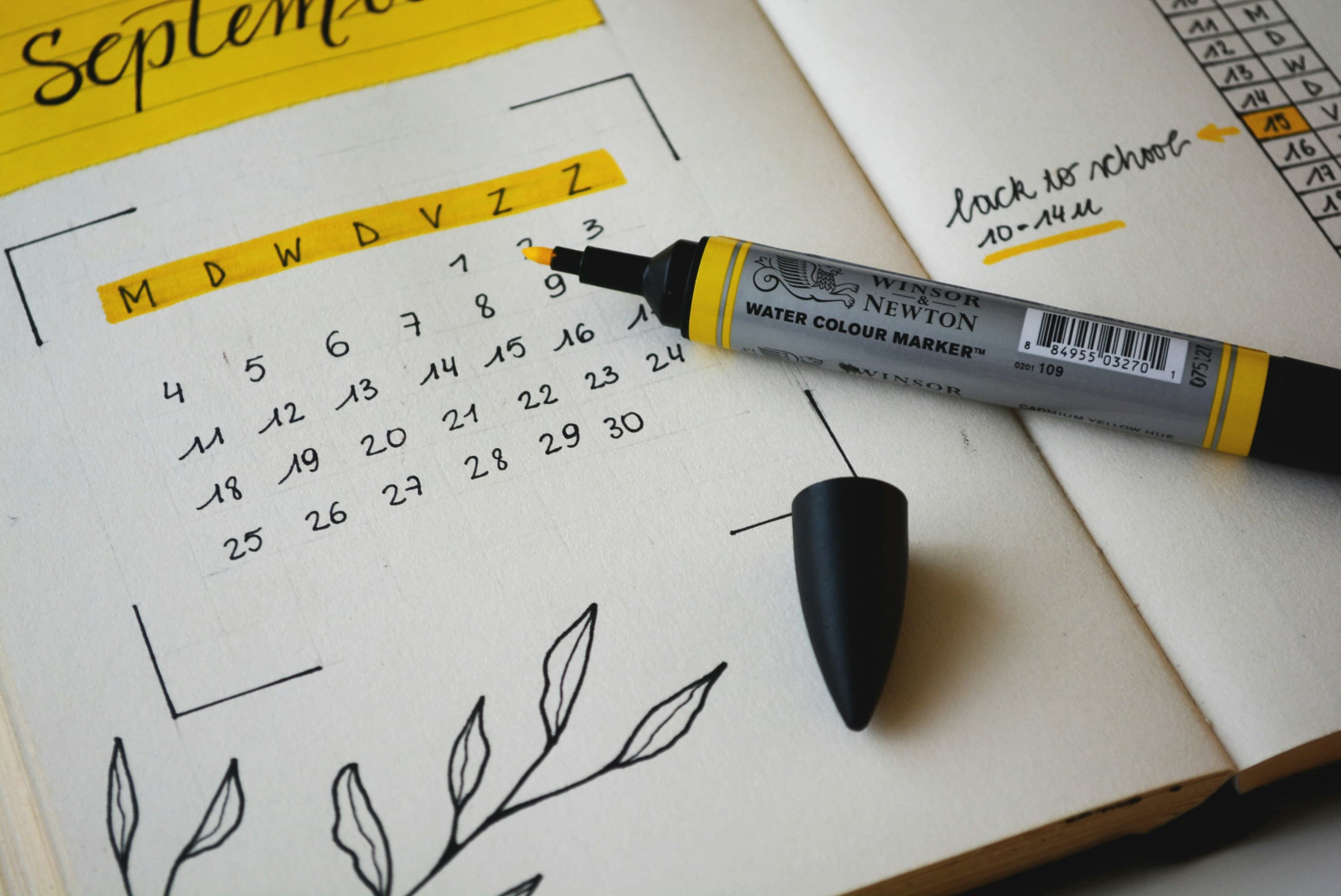 Schedule Optimization Guide: 10 Essential Questions School Administrators Ask